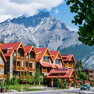 Moose And Hotel Banff